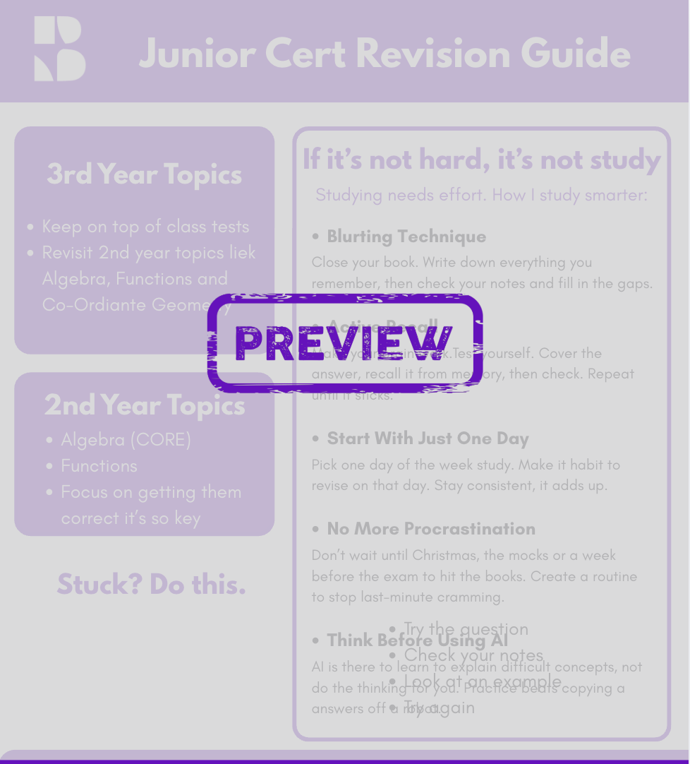 Revision Plan